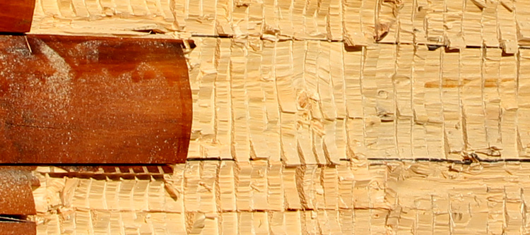 Log Home Face Restoration  Sandy Hook, Virginia