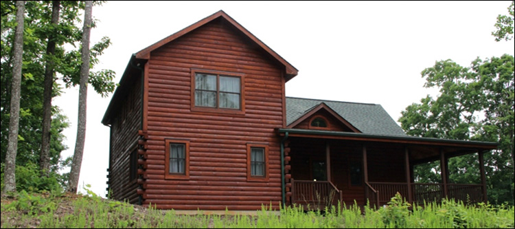 Professional Log Home Borate Application  Sandy Hook, Virginia
